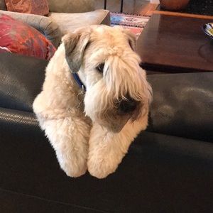 Meet your Posher, Deborah